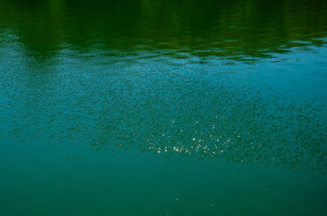 Background of the water