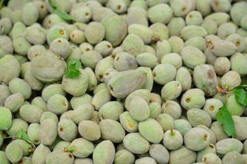 Green Almonds