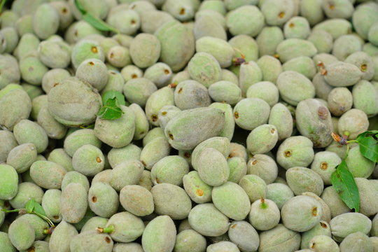 Green Almonds