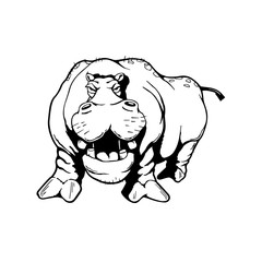 hippopotamus  Animal cartoon character . Vector Illustration.
