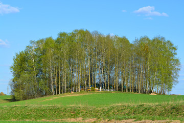 Belarus, Eastern Europe. Typical rural cemetery in the province