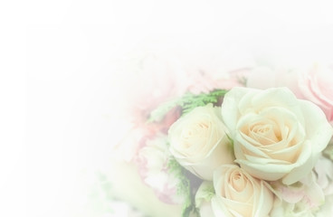 Beautiful flower background / wallpaper made with color filters effect.
