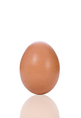 Egg isolated on white background with cilpping path.