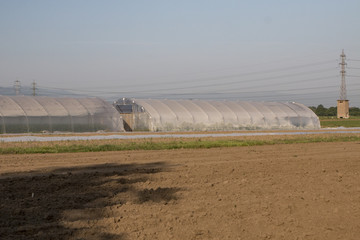 Plastic Greenhouse