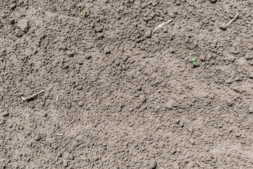 Soil texture background