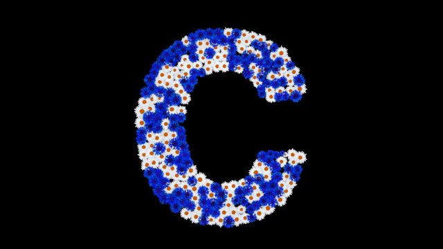 Letters of english alphabet made of cornflowers and white daisy flowers with alpha channel