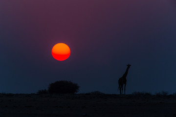 Sonnenaufgang in Namibia
