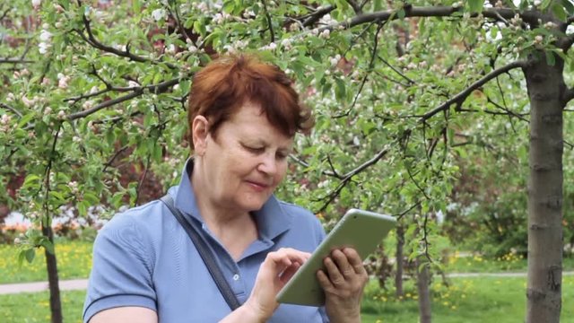 Medium close up of senior woman standing in blooming garden, web browsing or looking through photos on tablet PC. Concept of modern technology used by elderly people. Slow motion