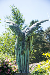 Engel von hinten