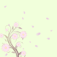 Fototapeta na wymiar Flower Background, Marguerite, Branch, Petals 
