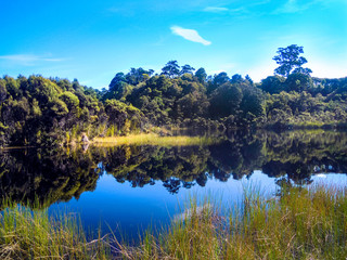 Fototapeta na wymiar Lake Wilkie in the Catlins, Rainforest in New Zealand