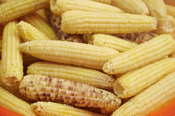 Corns 