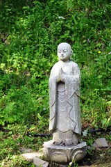 Fototapeta premium budda, statue sacre