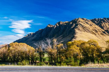 SOUTHLAND, NEW ZEALAND