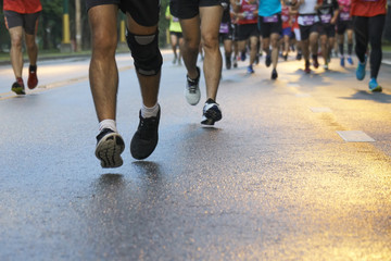 marathon runners compete in the race