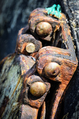 Rusted Hinge III