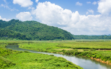 Mountain river stream landscape.