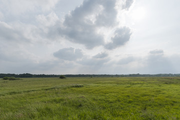 Teufelsmoor am Abend Ende Mai
