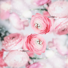 Lovely floral background with pretty pink pale flowers and bokeh, pastel color