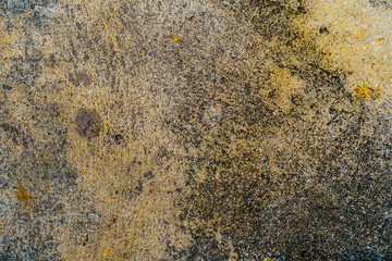 Road floor