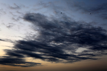 Obraz premium Sky was covered by different tones of blue and white.