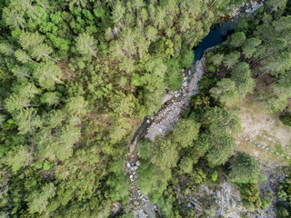 Aerial view of river in dense forest in Corsica, France