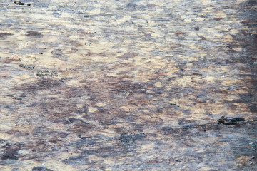 wood texture