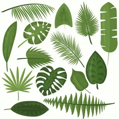 Deurstickers Tropische bladeren Vector illustration set of tropical green leaves of palm, jungle leaves, philodendron in cartoon flat style on white background.
