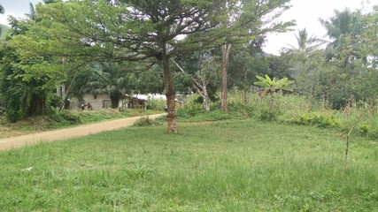 house in Njinibi cameroon