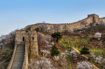 Fototapeta na wymiar great wall of china in badaling, china