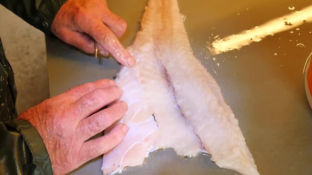 Checking the quality of the raw fish meat in the market with detail of butchers hand. Food industry, meat processing. Butcher checking parasite in raw meat of wild fish.