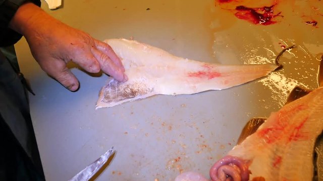 Checking the quality of the raw fish meat in the market with detail of butchers hand. Food industry, meat processing. Butcher checking parasite in raw meat of wild fish. 