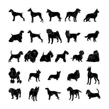 dog silhouette. Vector Illustration.. Collection set