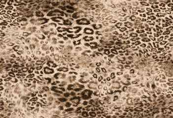 leopard pattern