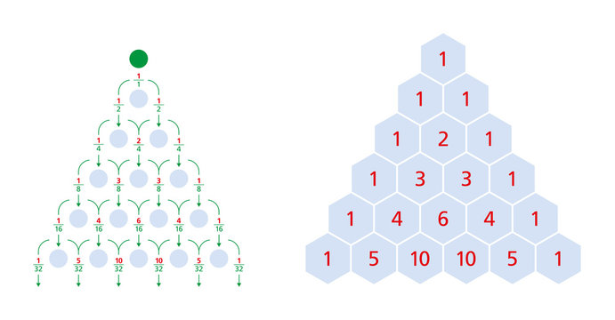 Galton board normal distribution and Pascal's triangle, a triangular array of the binomial coefficients. Each number is the sum of the two directly above. Bean machine, Galton box, quincunx. Vector.