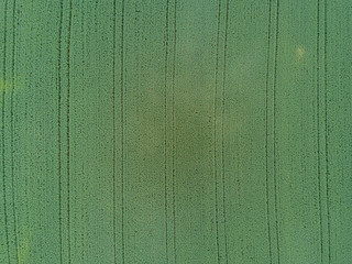 Fototapeta premium Aerial view of agricultural field with traces
