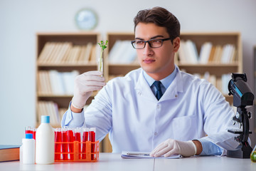 Biotechnology scientist working in the lab