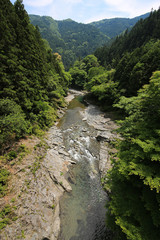 Fototapeta na wymiar 徳島県美馬市　剣峡の風景