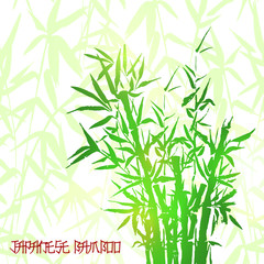 Fototapeta na wymiar Bamboo green tree japanese plant or tree. Traditional sumi painting vector illustration for wallpaper or healthy therapy cosmetic products design