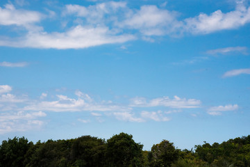 Obraz premium 自然 青空