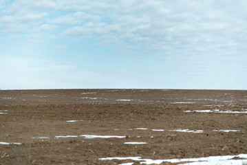 field in spring time with blue sky.
