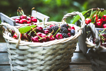 Fresh forest fruit on wood