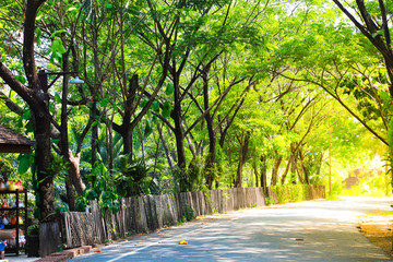 A Line Of Trees And Wooden Fence Bordering A Pasture During A Foggy Sunset