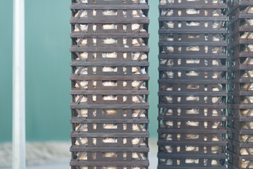 Black plastic boxes with goods ouside the warehouse