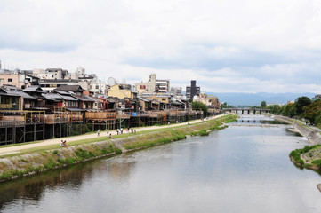 Fototapeta premium Kamogawa and Honto-cho in Kyoto, Japan