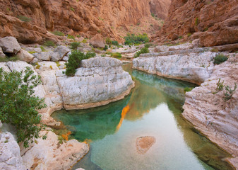 Mountain lake. The beautiful mountain scenery. Wadi Bani Khalid. Oman. - 158356714
