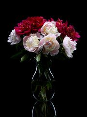 Peonies in vase isolated on black