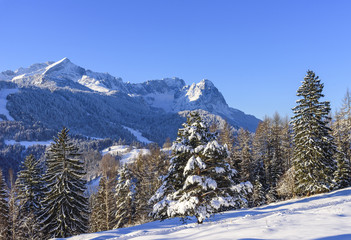 frisch verschneite Natur in Oberbayern
