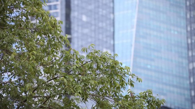 establishing shot, abstract business building background
