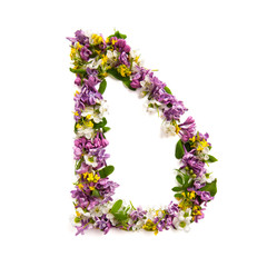The letter «D» made of various natural small flowers..